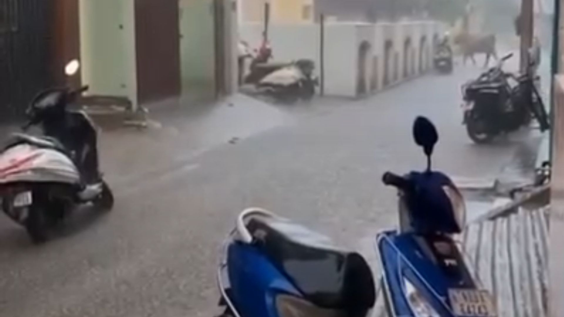 Cloud Burst live video 2665
